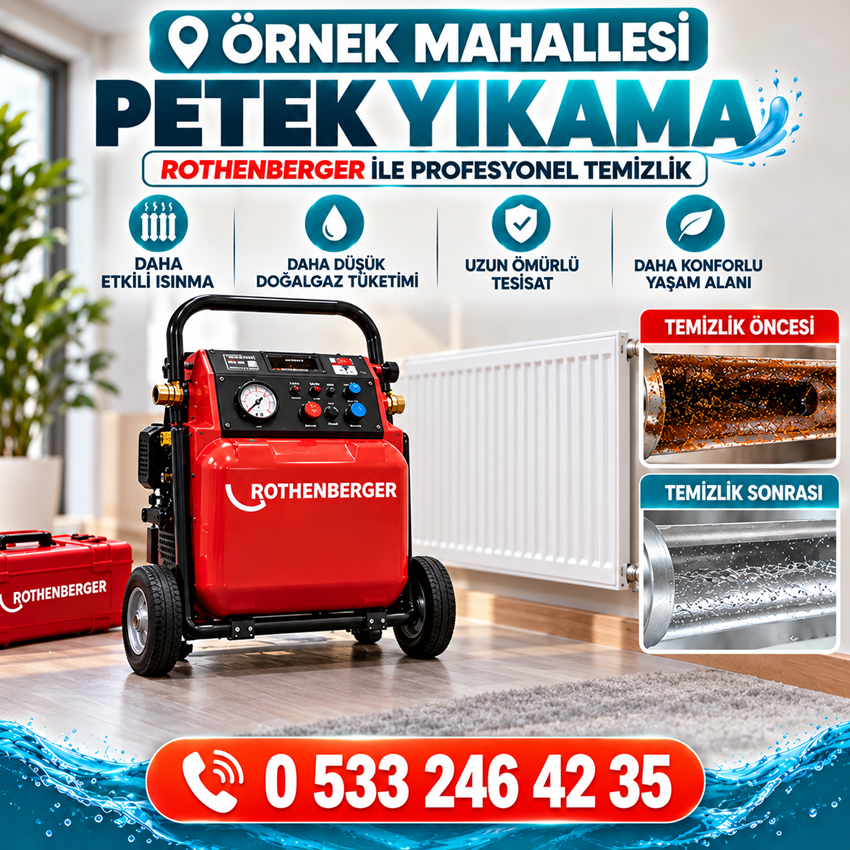 Örnek Mahallesi Petek Yıkama - 0 533 246 42 35
